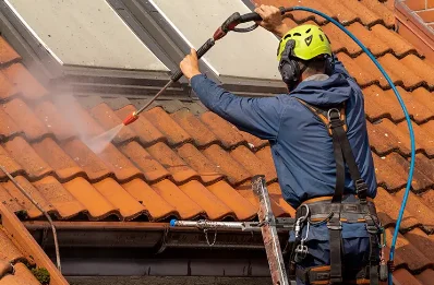 Démoussage et hydrofuge de toiture à Arlanc